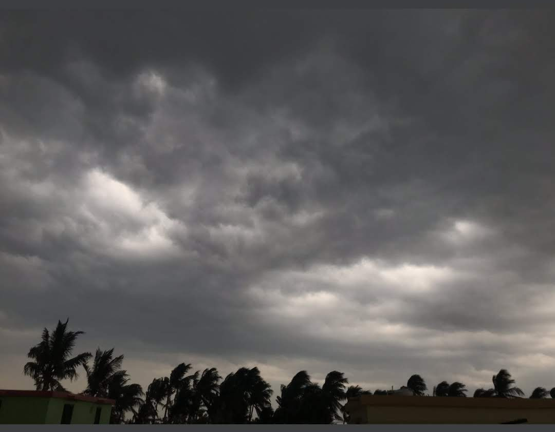 screenshot_2020-05-01-19-20-37-015_com.twitter.android